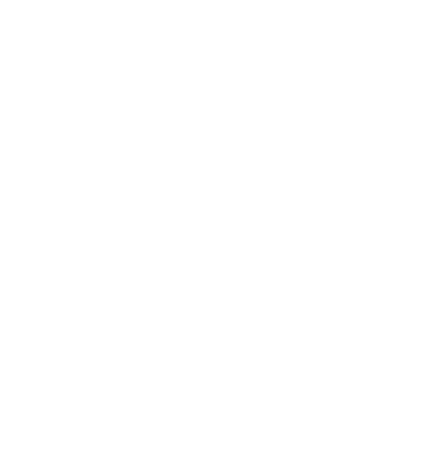 business and technology roadmap spanning core, emerging, and long term initiatives. The roadmap prioritized customer ...